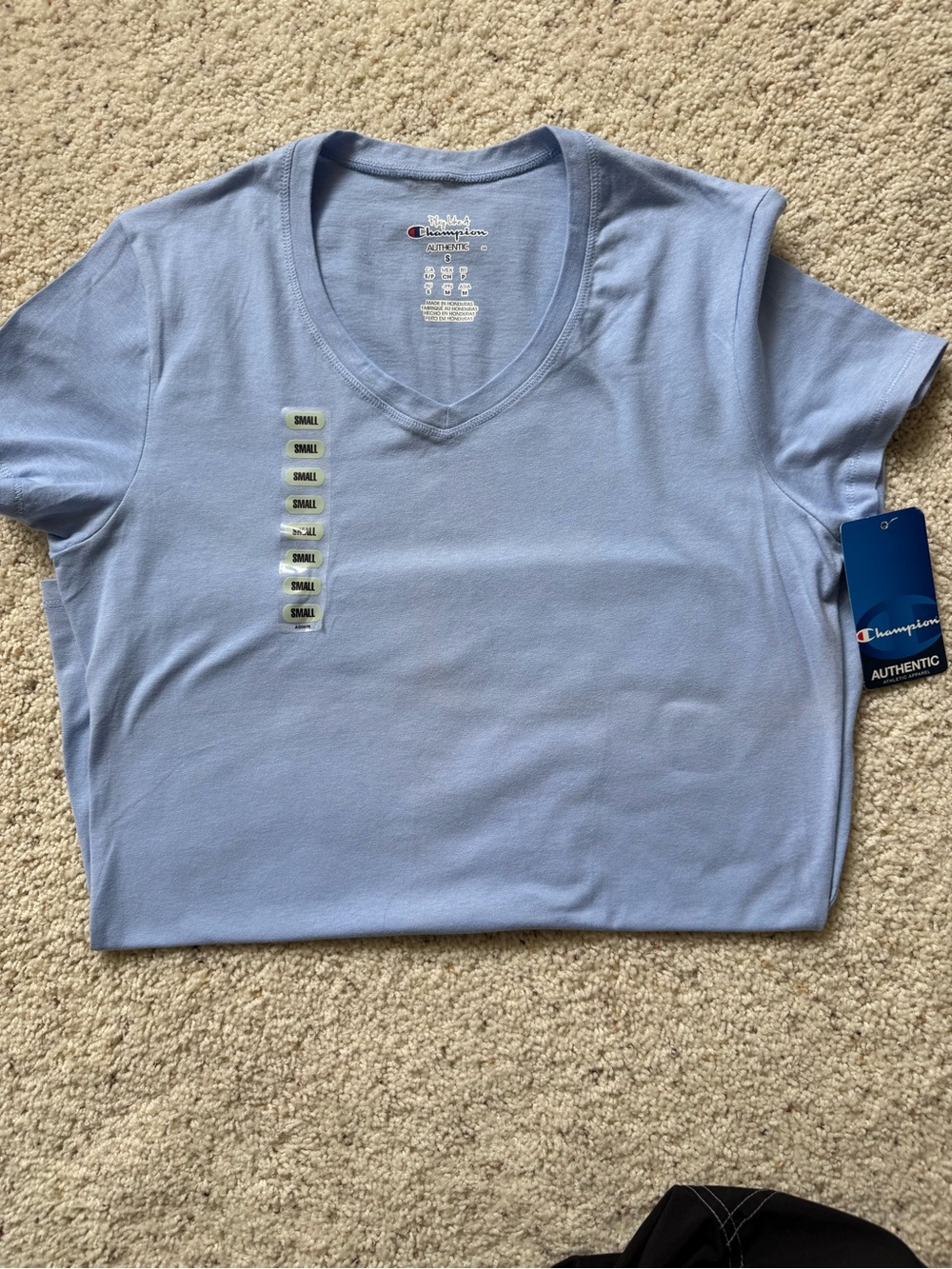 Champion Women’s V-Neck Tee in Blue-NWT